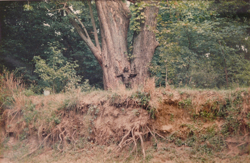 Medietia, Silueta Series